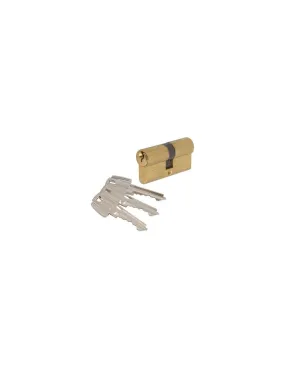 CYL.TESA LAIT.DBLE S'ENT.40X50 TESA ASSA ABLOY T5B04050L